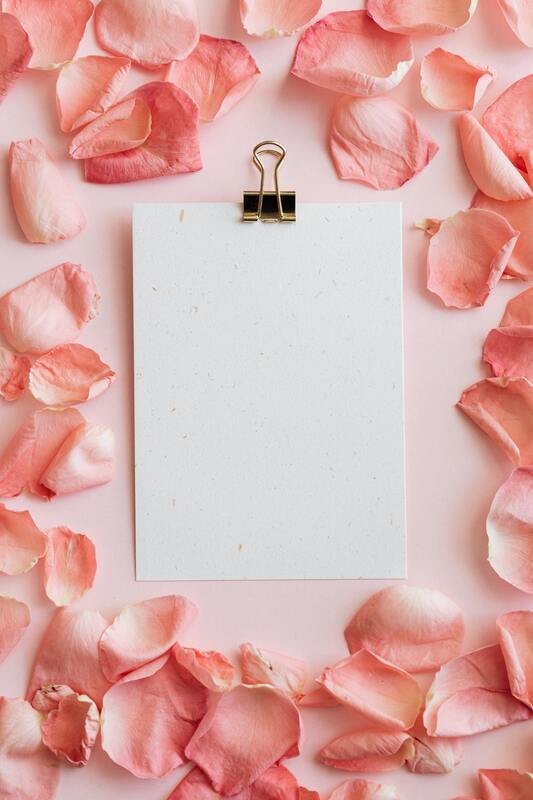 Rose petals surround a blank sheet of paper